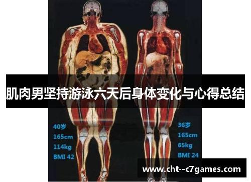 肌肉男坚持游泳六天后身体变化与心得总结 肌肉男坚持游泳六天后身体变化与心得总结