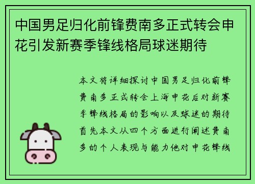 中国男足归化前锋费南多正式转会申花引发新赛季锋线格局球迷期待