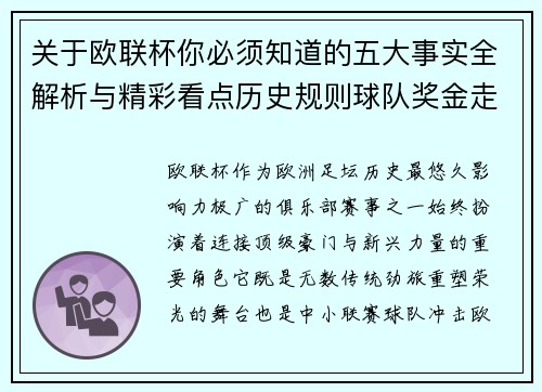 关于欧联杯你必须知道的五大事实全解析与精彩看点历史规则球队奖金走势 关于欧联杯你必须知道的五大事实全解析与精彩看点历史规则球队奖金走势